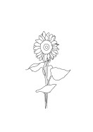 Sunflower Line Art | Erstellen Sie Ihr eigenes Plakat