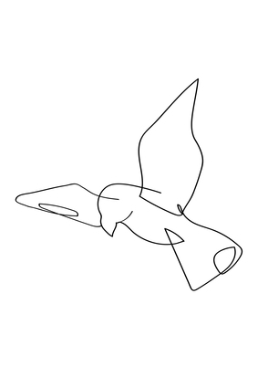 Flying Bird Line Art No2