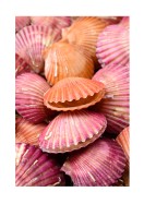 Pink Sea Shells | Erstellen Sie Ihr eigenes Plakat