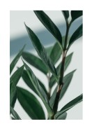 Green Plant Close-up | Erstellen Sie Ihr eigenes Plakat